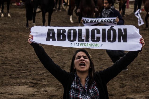 protesta contra rodeo