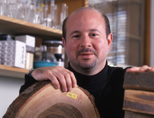 Michael-Mann-tree-ring